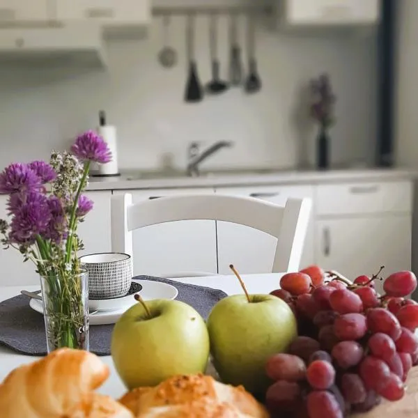 apartma Vila TARA, hotel en Prebold