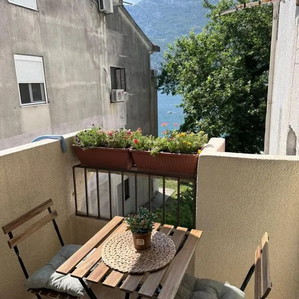 Apartman Andrea, готель у місті Рісан