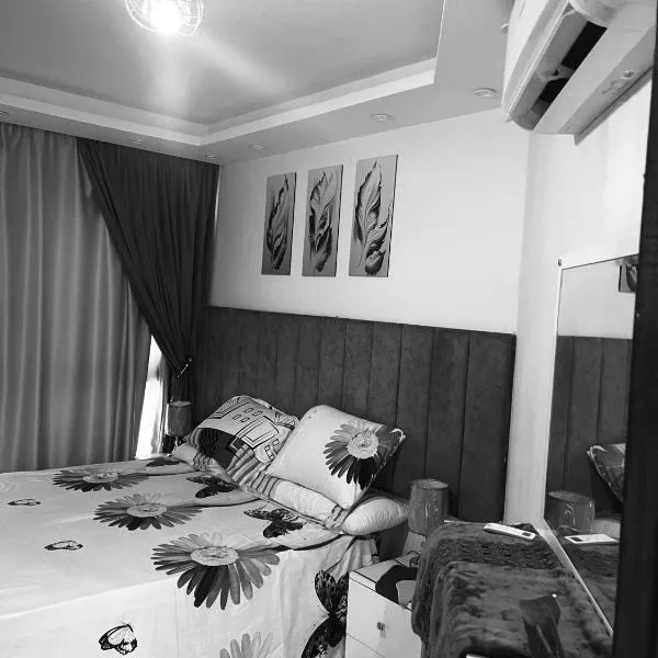 Apartment & Chalet بورتو سعيد فندق وشقق مميزة, hotel in Port Said