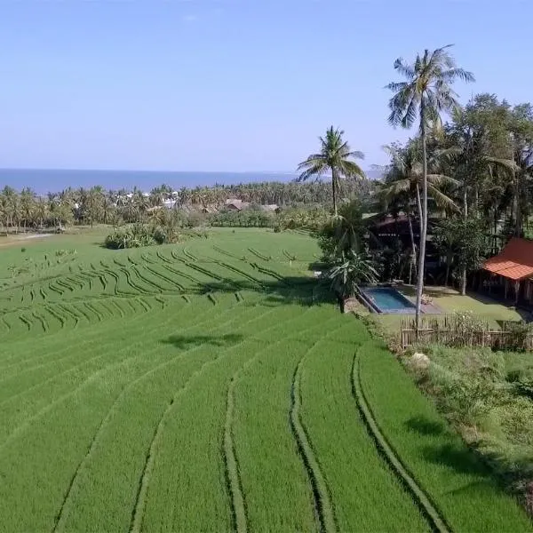 The Mayana Beach House, ξενοδοχείο σε Selemadeg