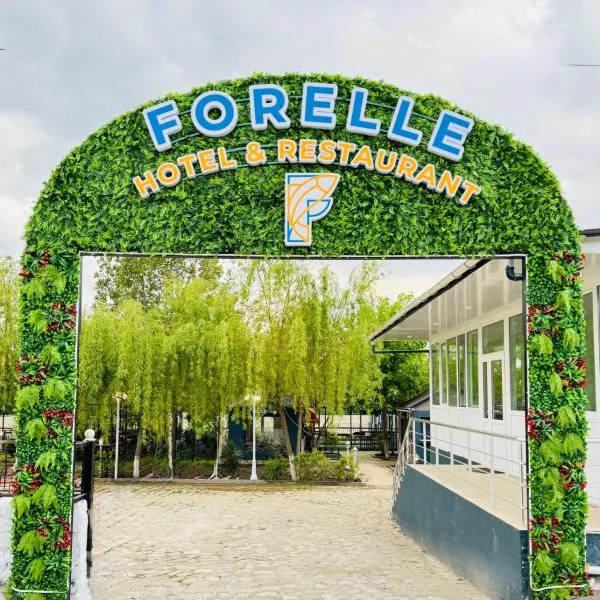 Çuxuryurd में, होटल Forelle Restaurant & Hotel