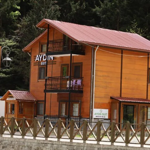 Aydın Suite, hotel in Uzungöl
