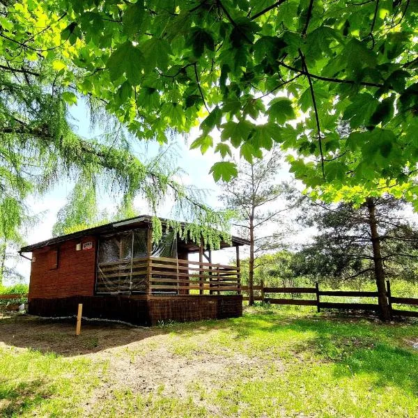 Domek Letniskowy Swobodna - Warmia i Mazury, hotel in Swobodna