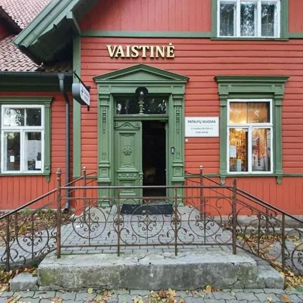 Vaistinės apartamentai, hotel a Palanga