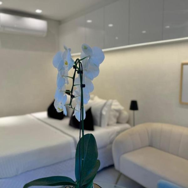 Studio with Private Garden in Mont-Serrat - Foto 2
