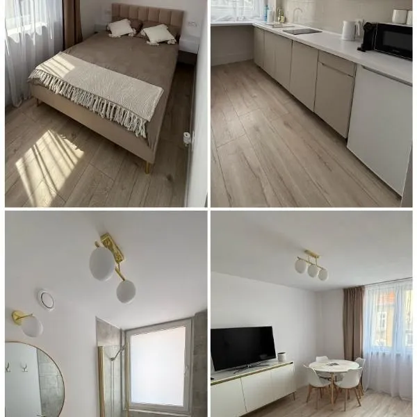 Apartament Gold Rynek Mieroszów Wi-Fi, nc plus โรงแรมในMieroszów