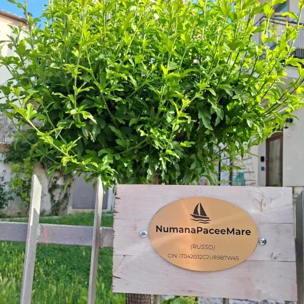 NumanaPaceeMare โรงแรมในนูมานา
