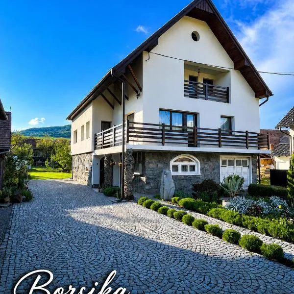 Borsika Guest House, hotel em Zetea