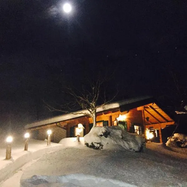 Jagdhütte, hotel in Abtenau