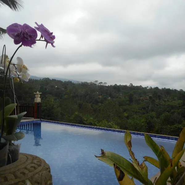 Artala Villas Besakih, Hotel in Besakih