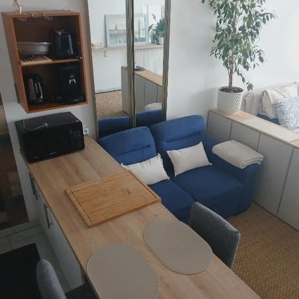 Lovely Studio 35 M2 in Pau city center - Bd des Pyrenées - private parking space, hotel u gradu 'Pau'