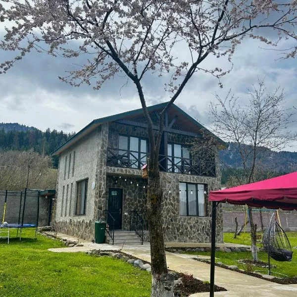 Villa Mzetamze, hotel in Borjomi