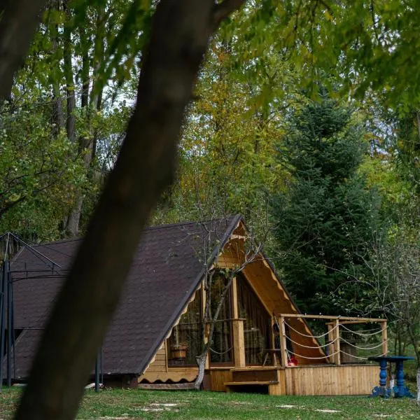 Casa Matteo & Camping, hotel en Albestii de Arges