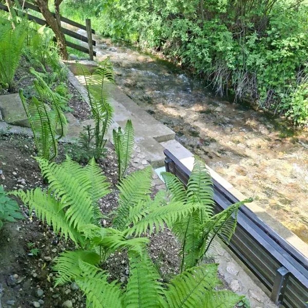 Casuța Râului, hotel v mestu Zărneşti
