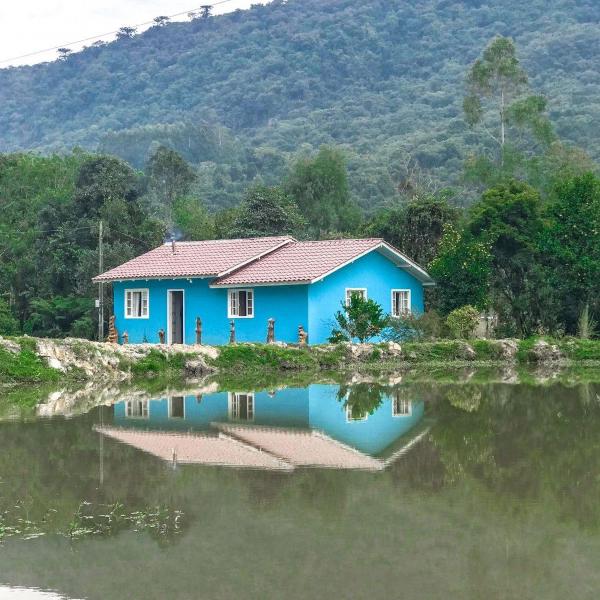 Casa de Campo Nó de Pinho