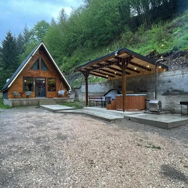 Cabana Doi Brazi A-FRAME, hotel en Dămuc