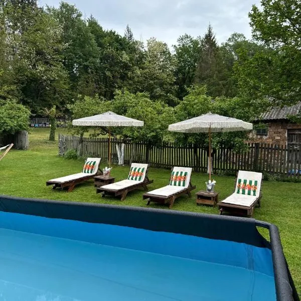 Cabana Oana 5-bedrooms chalet, hotel en Arad