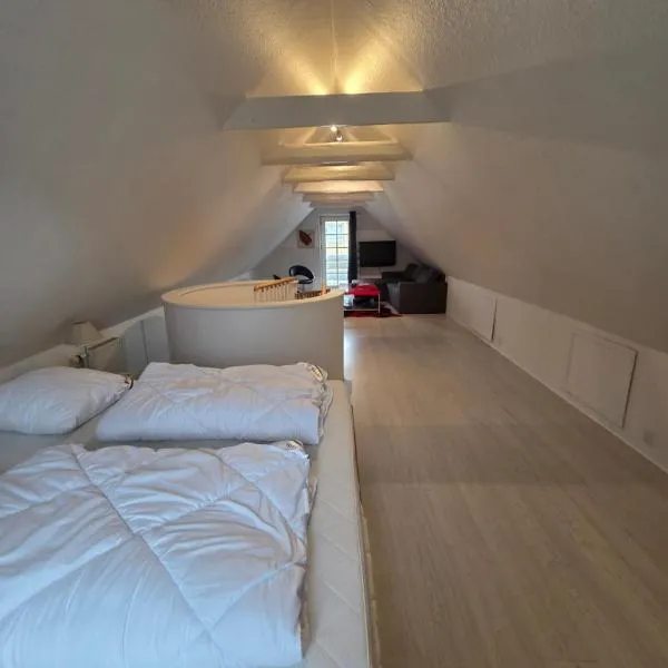 Marku House 2-plans huse, hotel in Struer