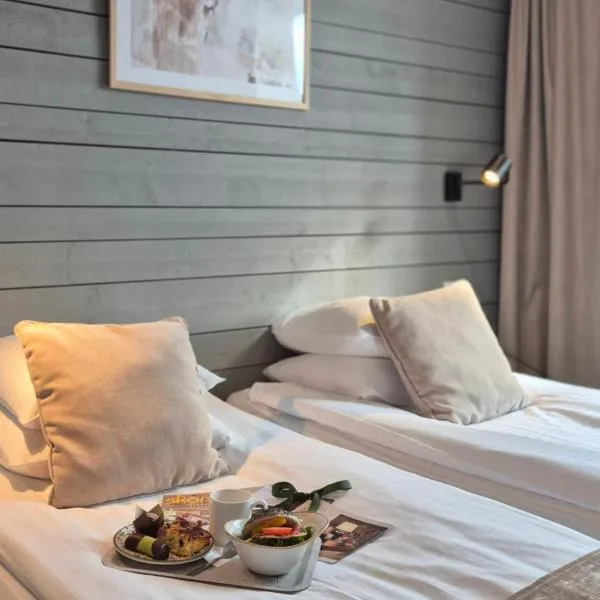 Hotell Rådhuset, hotel sa Lidköping
