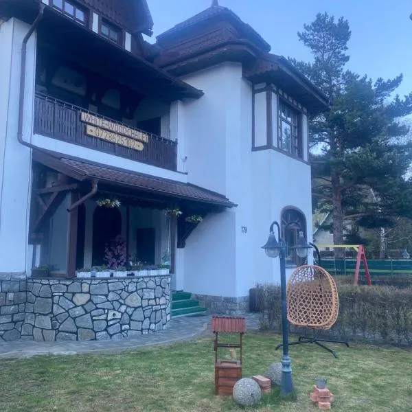 White Wood Chalet, хотел в Бущени