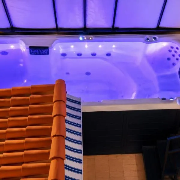 Piscine Jacuzzi Privée Chauffée, Terrasse et Garage à Nice, Hotel in Nizza