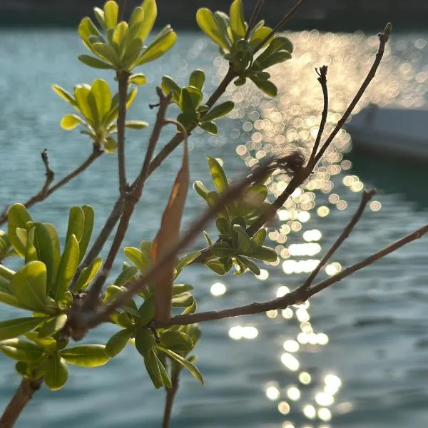 Echoes of Mljet - Odjeci Mljeta, hotel u gradu Sobra