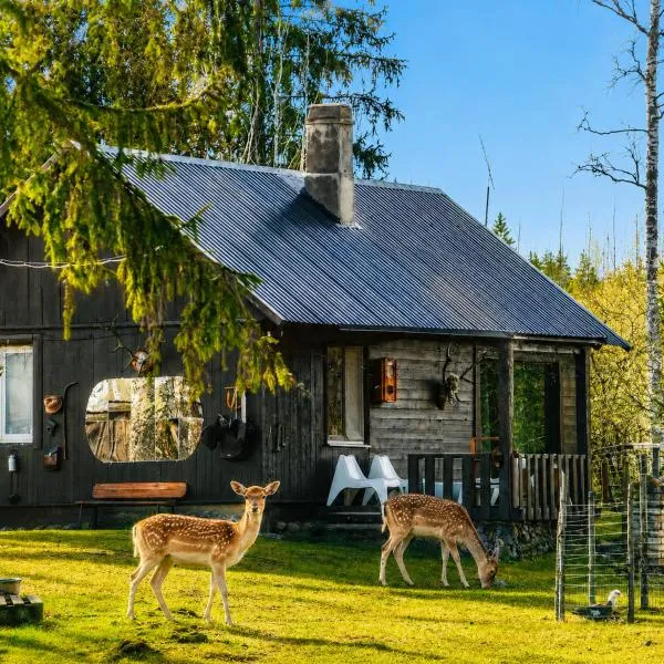 Lake Deer Park Retreat with Hot Tub & Sauna, hótel í Talsi