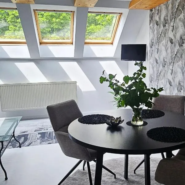 Apartmán u pilotky, hotell i Poděbrady