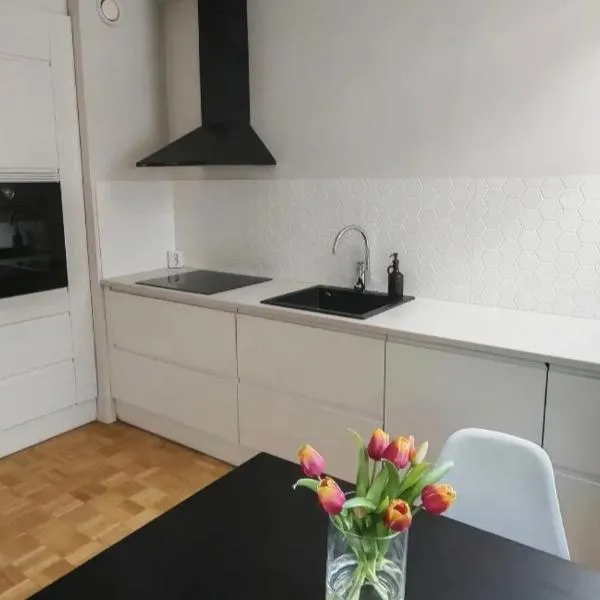 Minimalistic Skandi style apartment、トゥルクのホテル