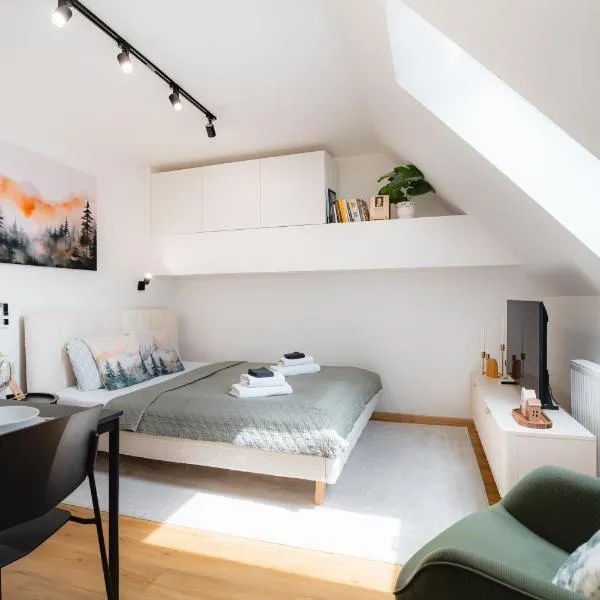 The Square & Cozy apartment, hotel in Dolný Kubín