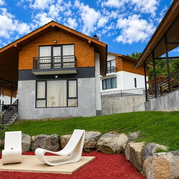 Crown Villa Bakuriani โรงแรมในบาคูเรียนี