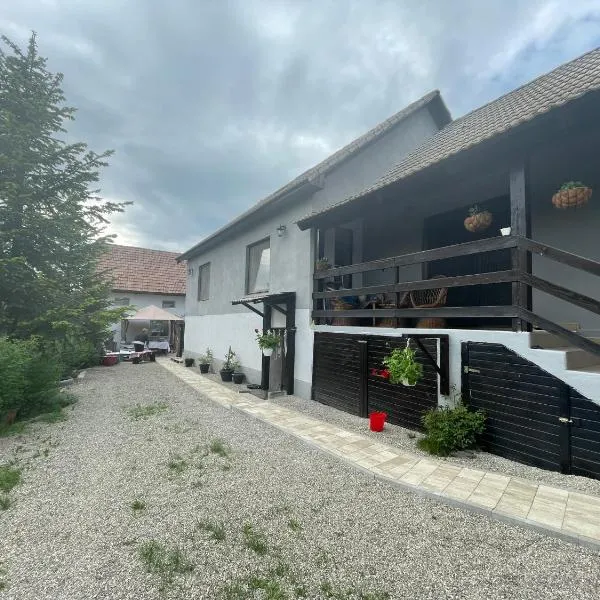 Casa de oaspeți Cristina, hotel en Fitod