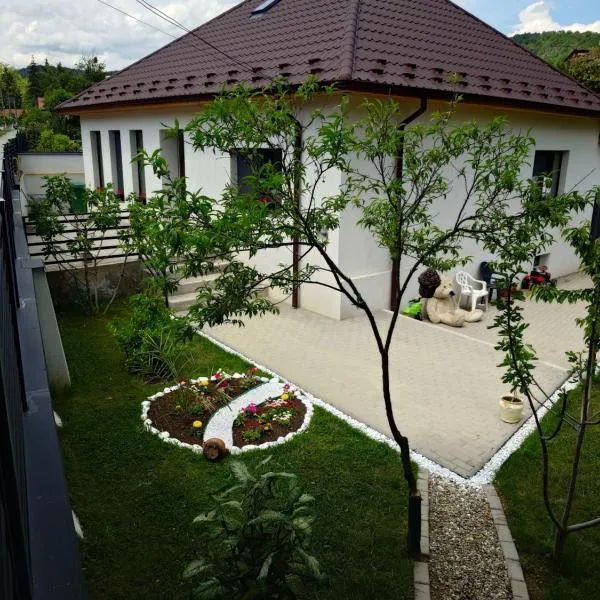 Casa David, hotel i Băile Govora
