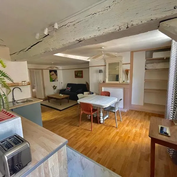 Appartement 2 pièces Au cœur de la ville Amboise, מלון באמבואז