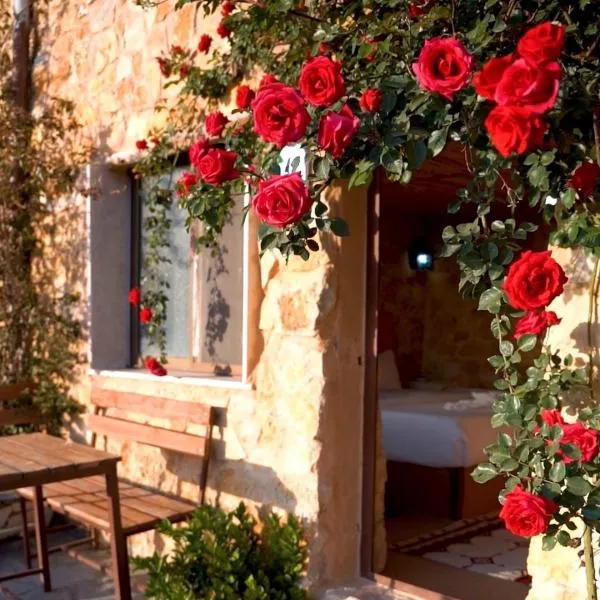 Dana Trail Hotel, Hotel in Dana