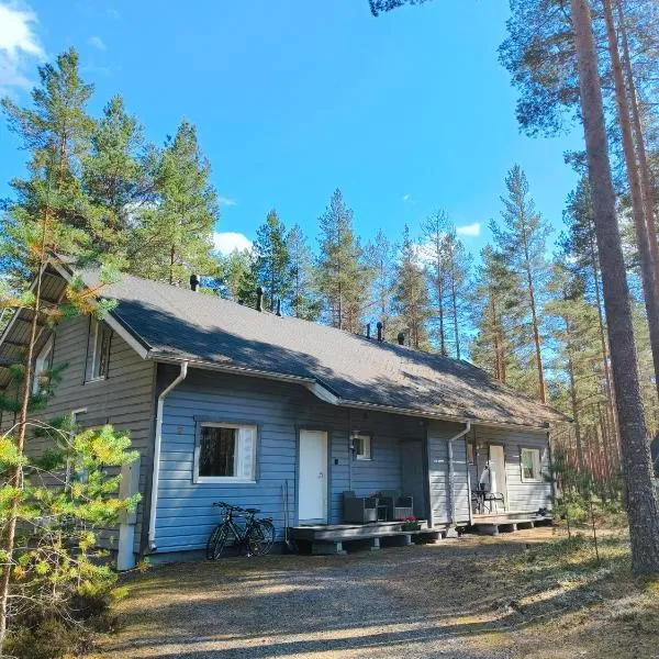 Mökki Jyrkinkuja, hotel v destinácii Loimaa