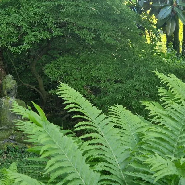 Studio Verde, hotel en Au
