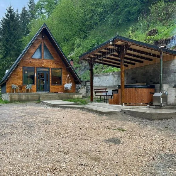 Cabana Doi Brazi A-FRAME โรงแรมในDămuc