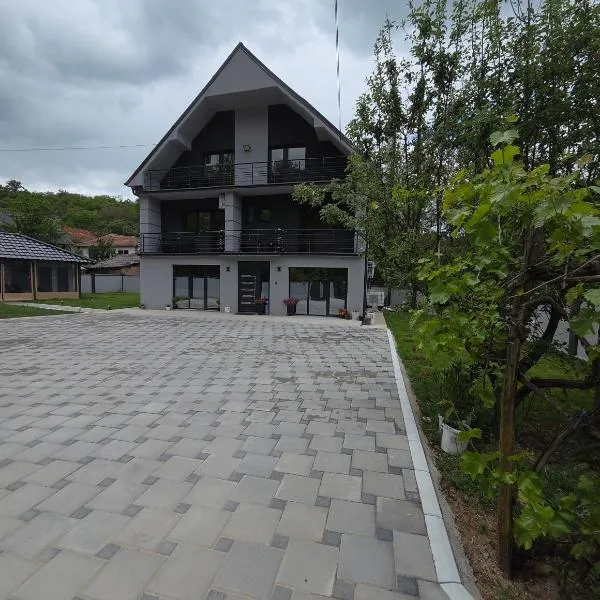 Zikin dom, hotell i Željuša