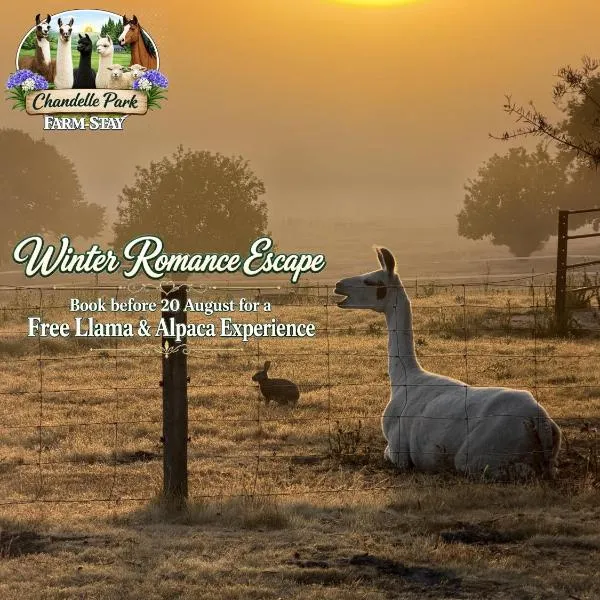 Chandelle Park Farm Stay, hotel em Exeter