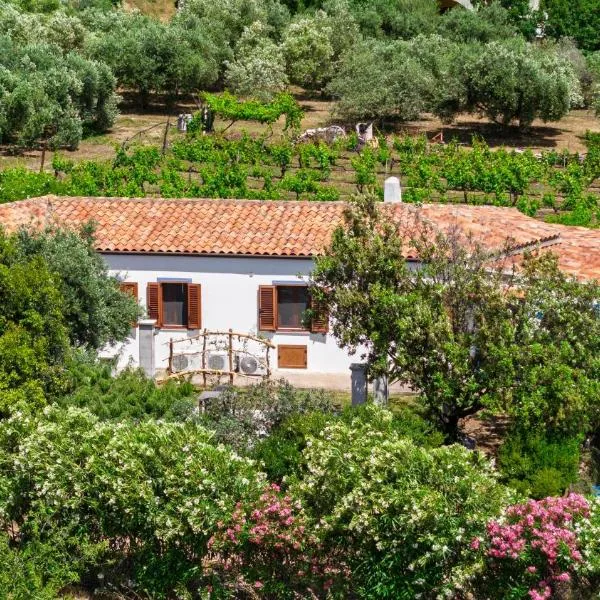 Casa Museddu Sonia, hotel a Cardedu