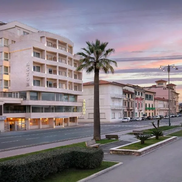 Hotel Sina Astor, hotel u gradu Vijaređo