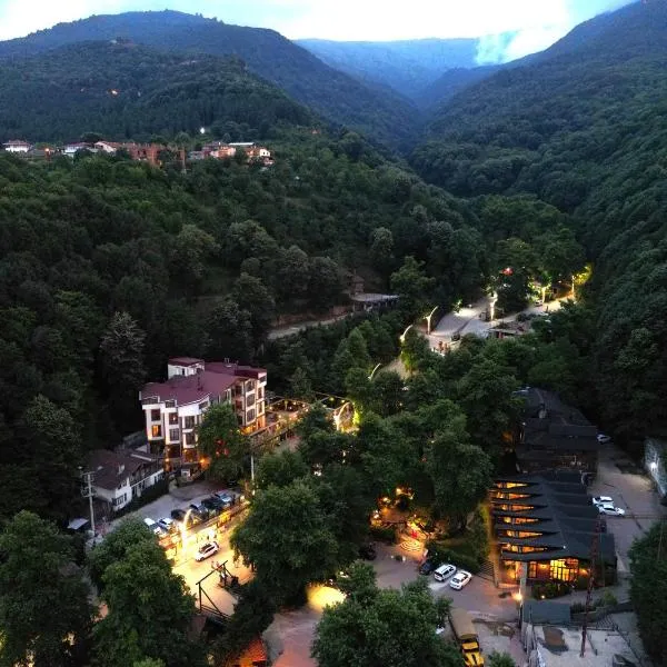 Mersu Ala Konak Otel Sapanca, hotell i Kocaeli
