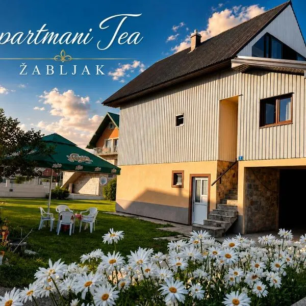Studio Apartman Tea, Žabljak, Hotel in Žabljak