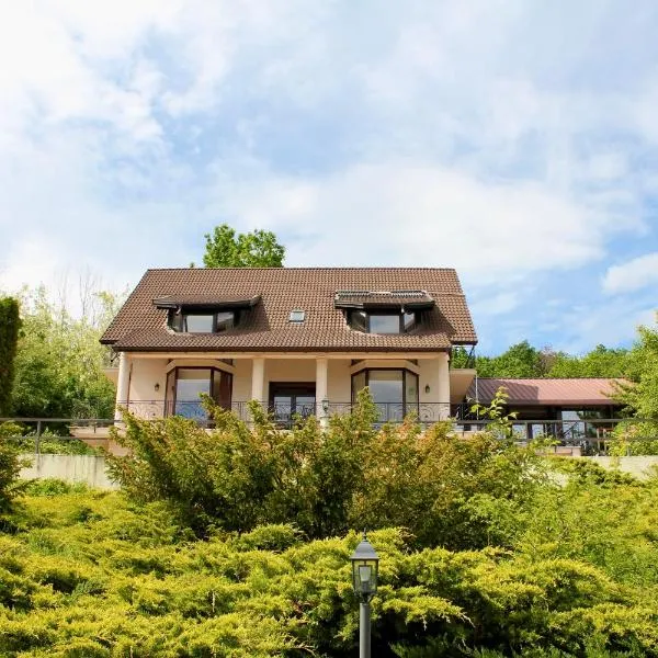 Hidden Hills Villa, hotel in Ţipăreşti