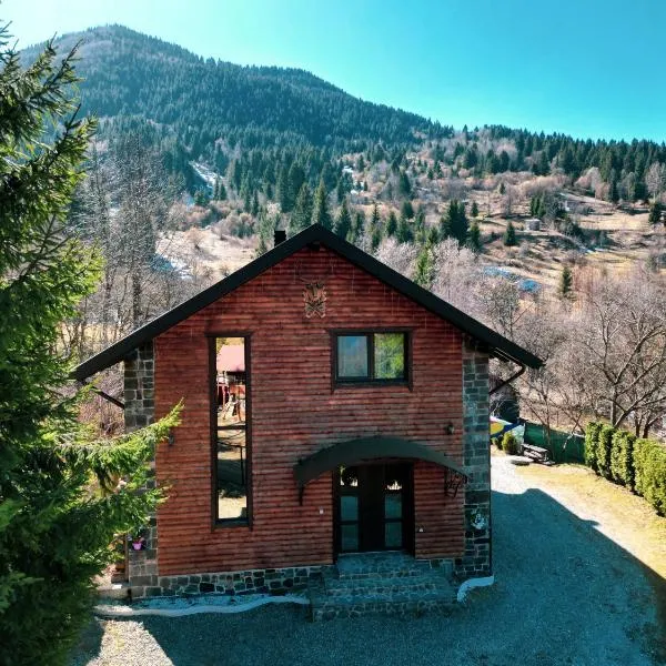Cabana Vasc, hotel di Borsa
