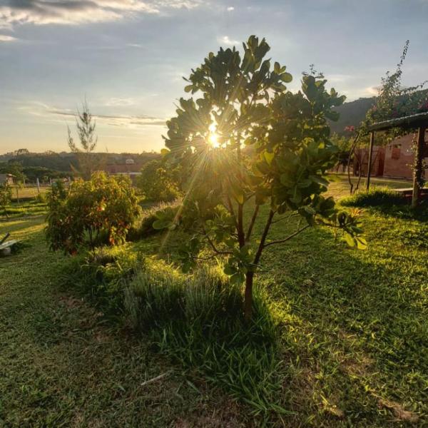 Suite na Natureza com Café da Manhã - Foto 5