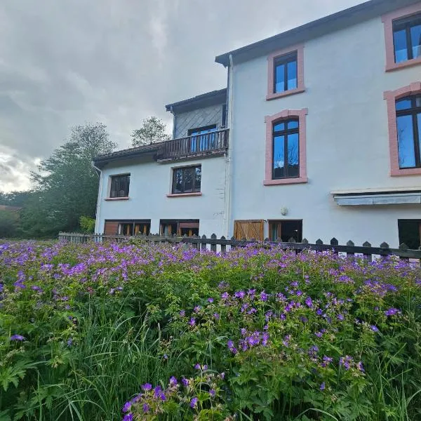 le chant de la rivière, hotel i La Bresse