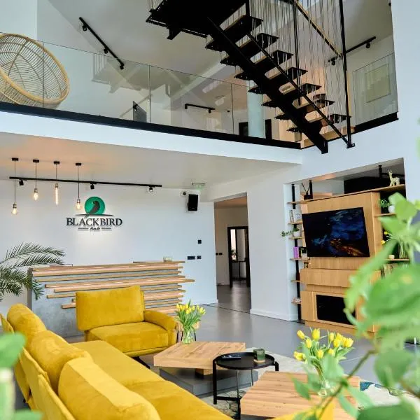 BlackBird Hub, hotel u gradu 'Arad'