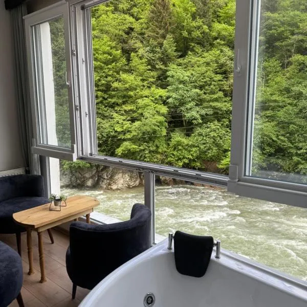 Pine Suit, hotel a Çamlıhemşin